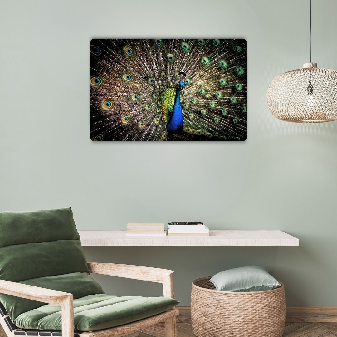 Peacock Metal Poster
