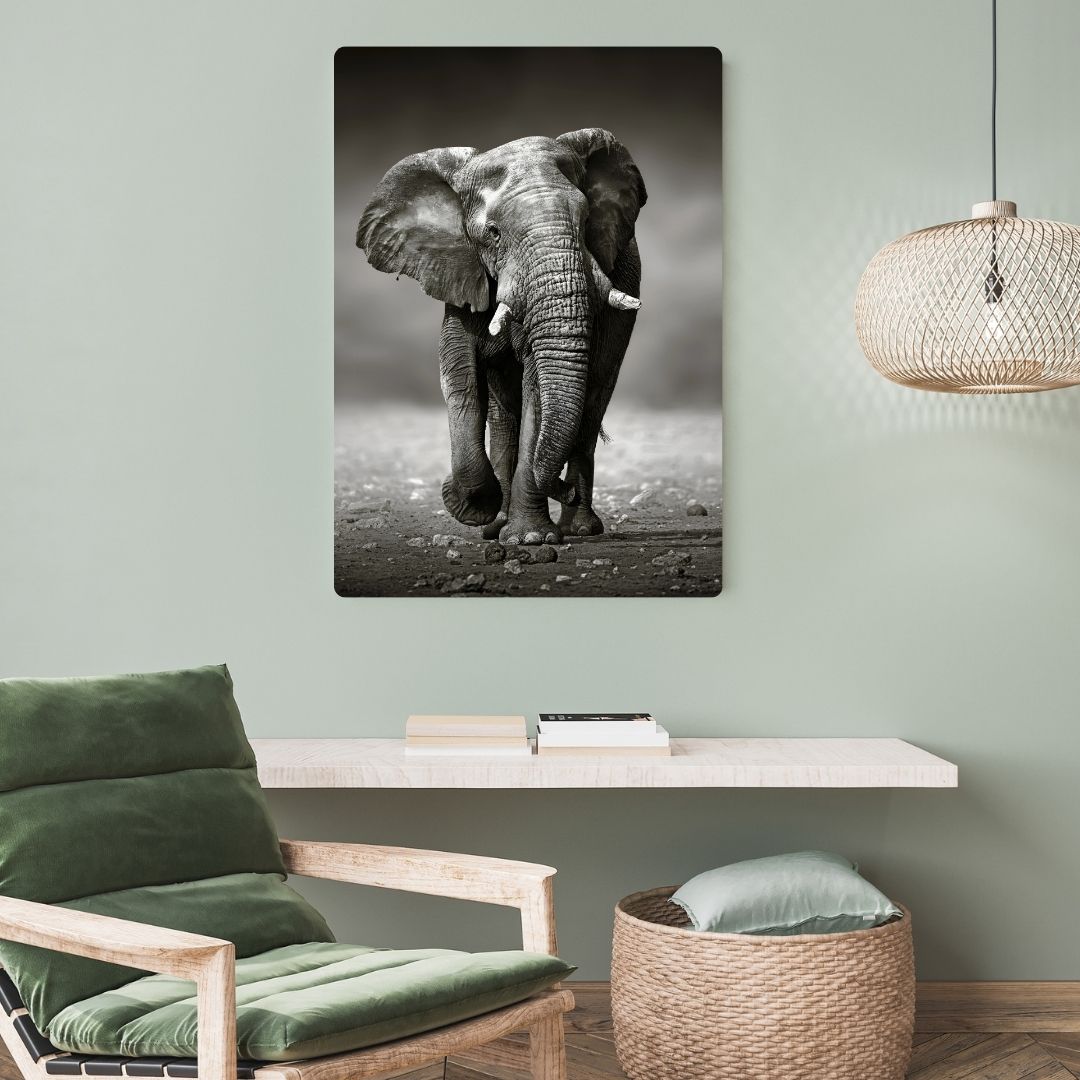 Elephant In Black & White Metal Poster