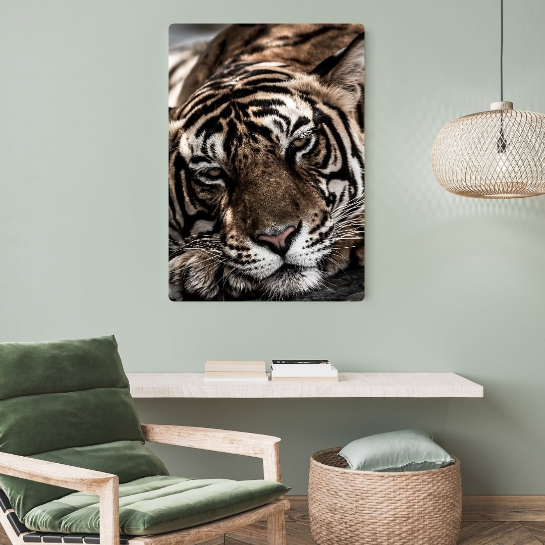 Bengal Tiger Metal Poster