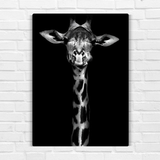 Giraffe In Black & White Metal Poster