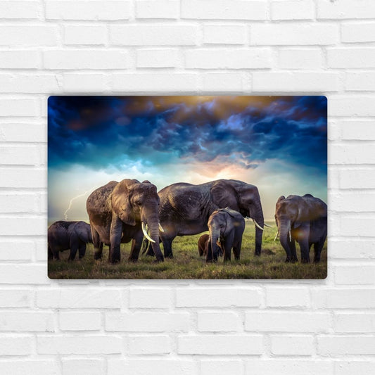 African Elephants Metal Poster