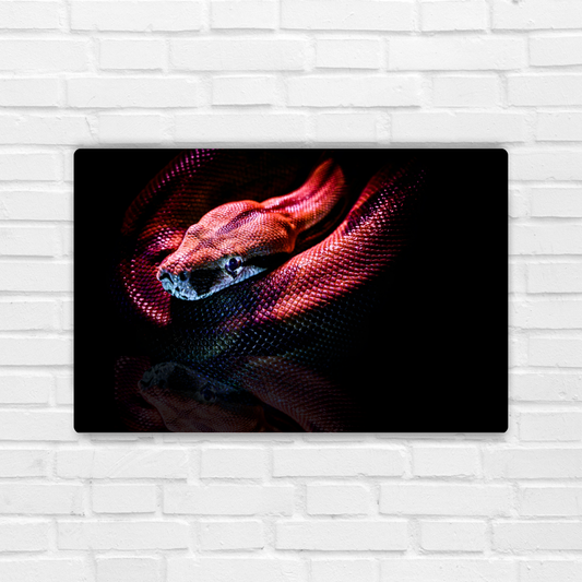 Red Snake Metal Poster