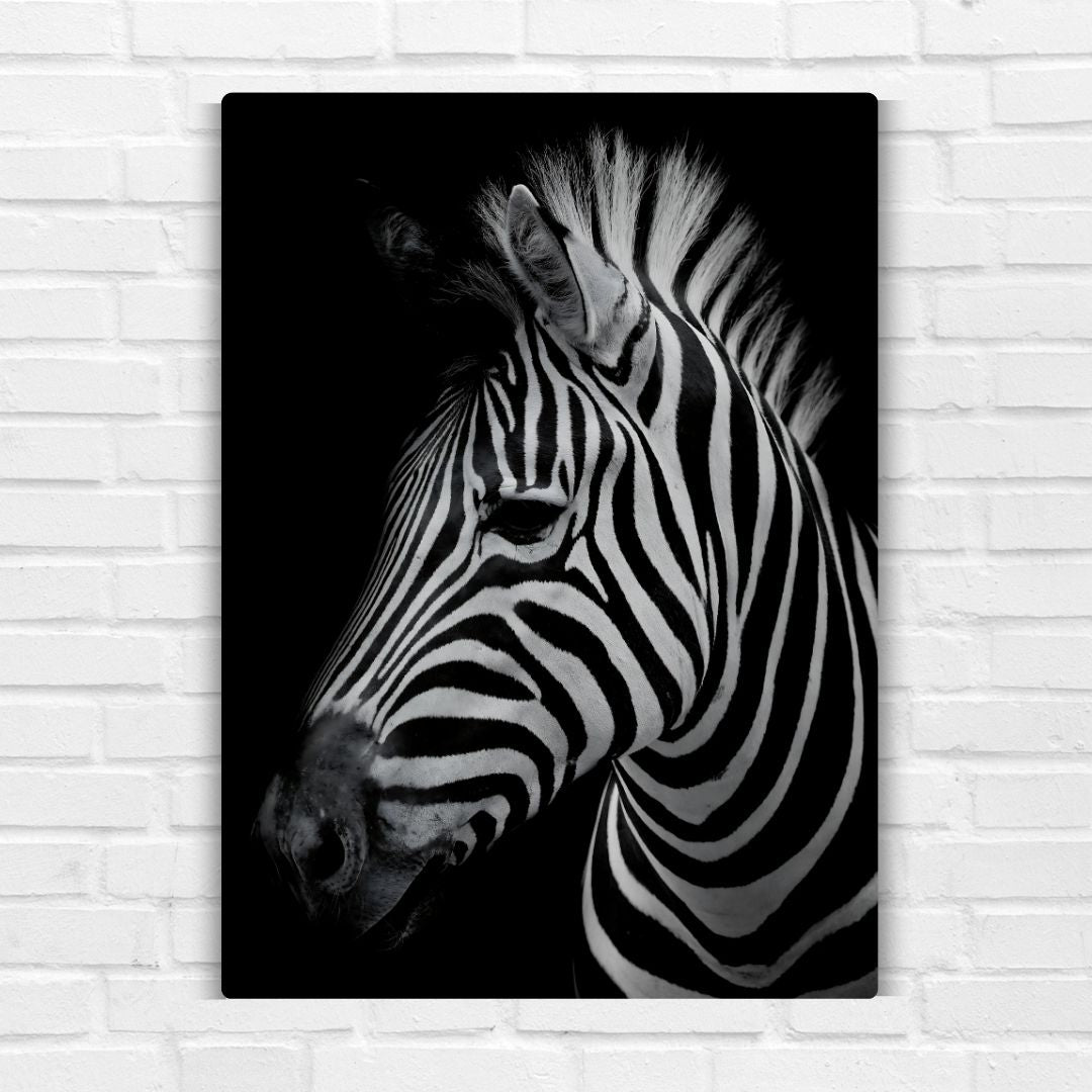 Zebra Metal Poster