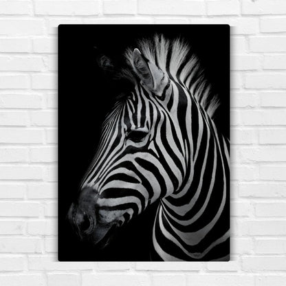 Zebra Metal Poster