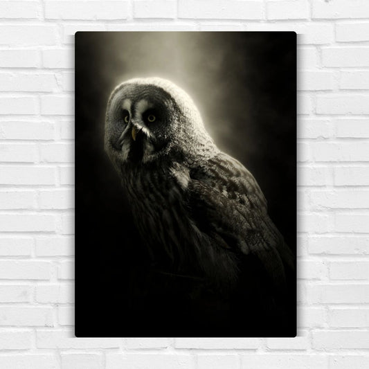 Grey Owl Metal Poster