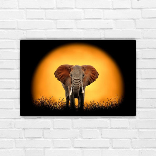 Elephant Metal Poster