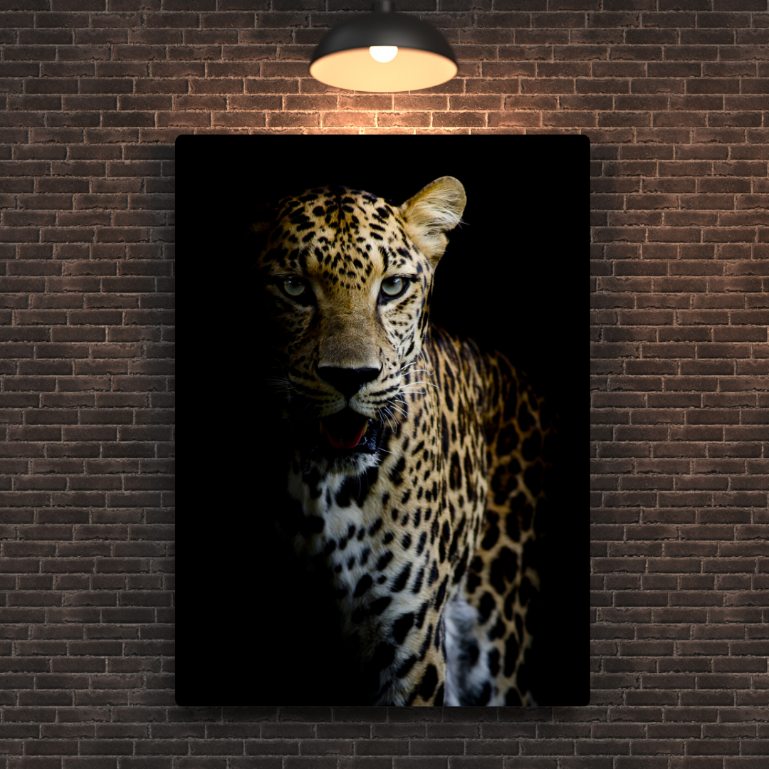 Cheetah Metal Poster