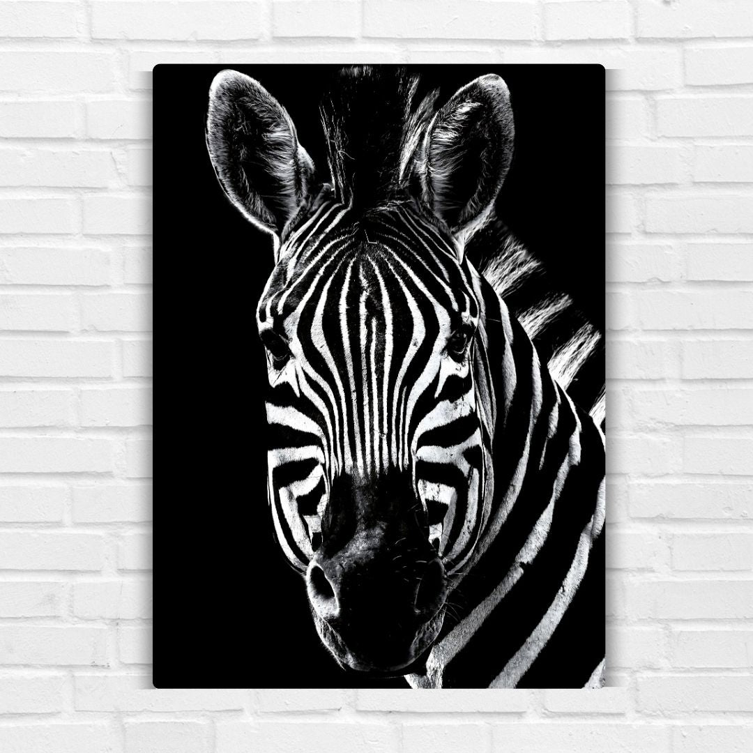 African Zebra Metal Poster