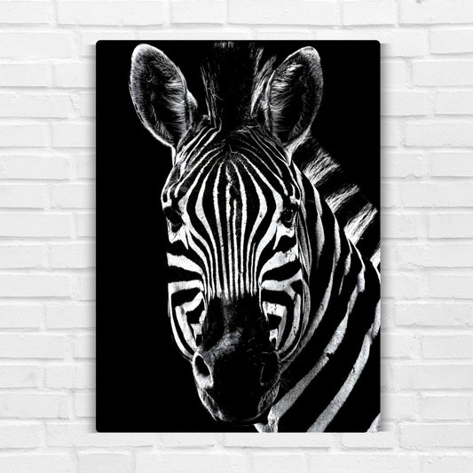 African Zebra Metal Poster