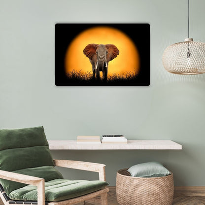Elephant Metal Poster