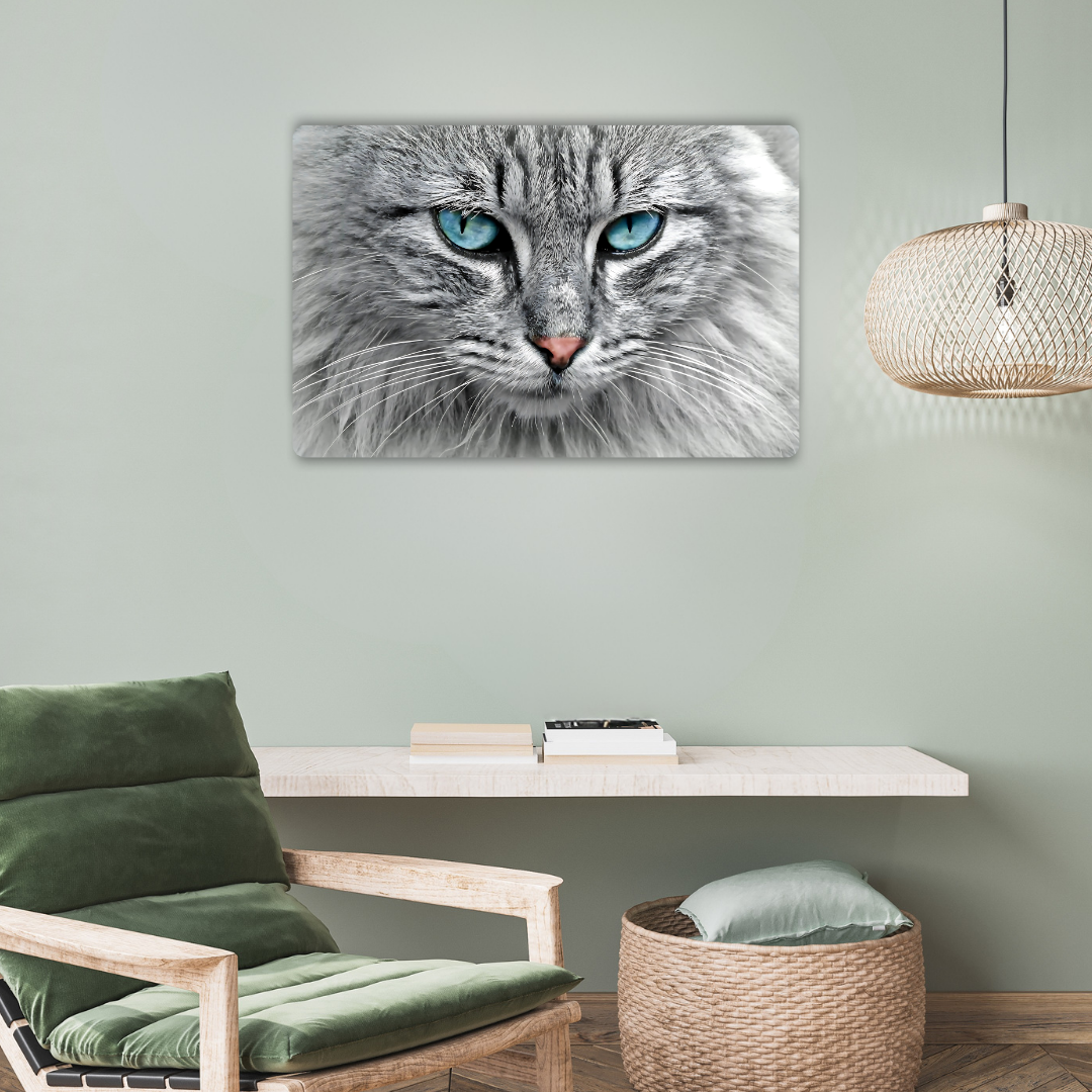 Tabby Cat Metal Poster