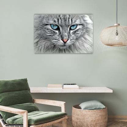 Tabby Cat Metal Poster