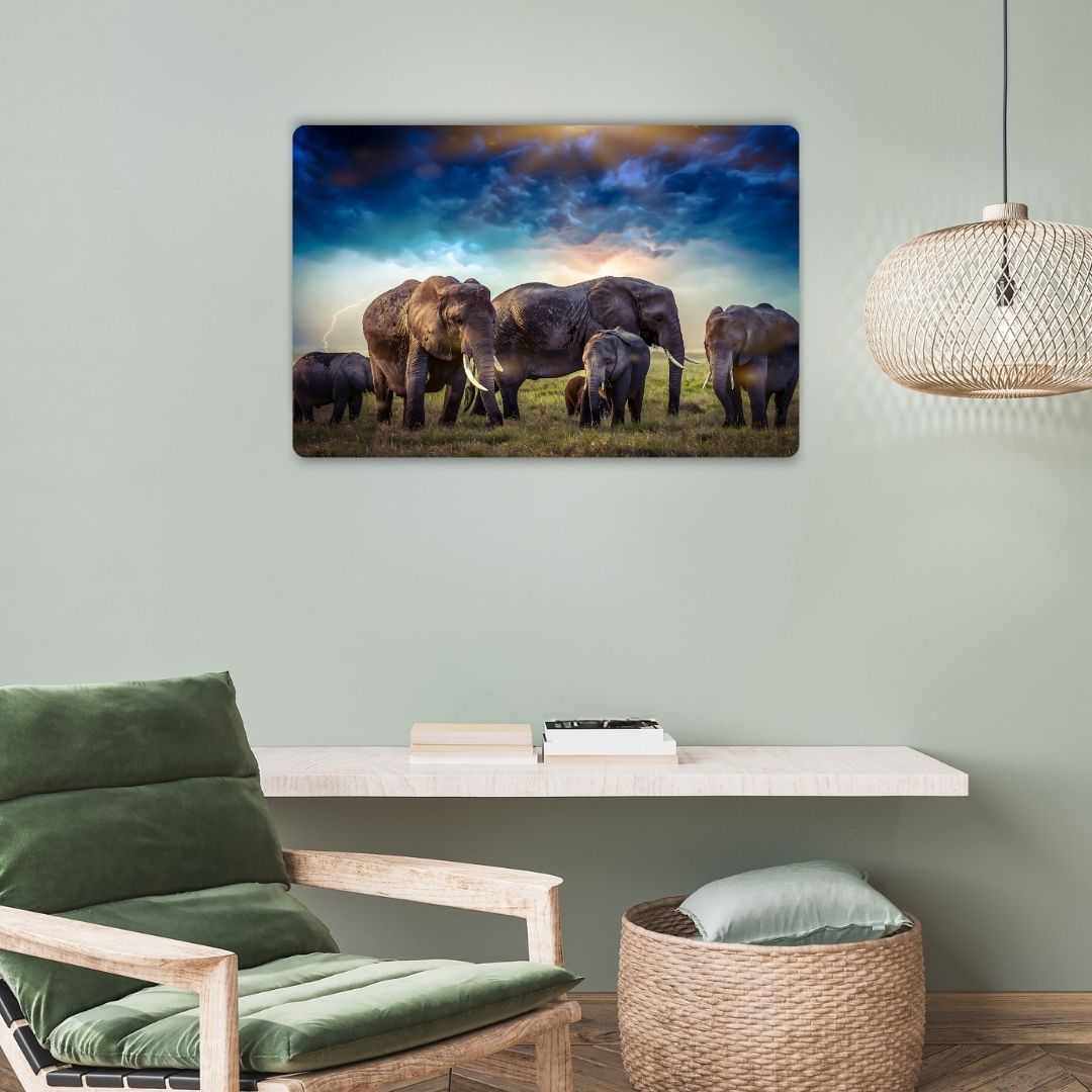 African Elephants Metal Poster