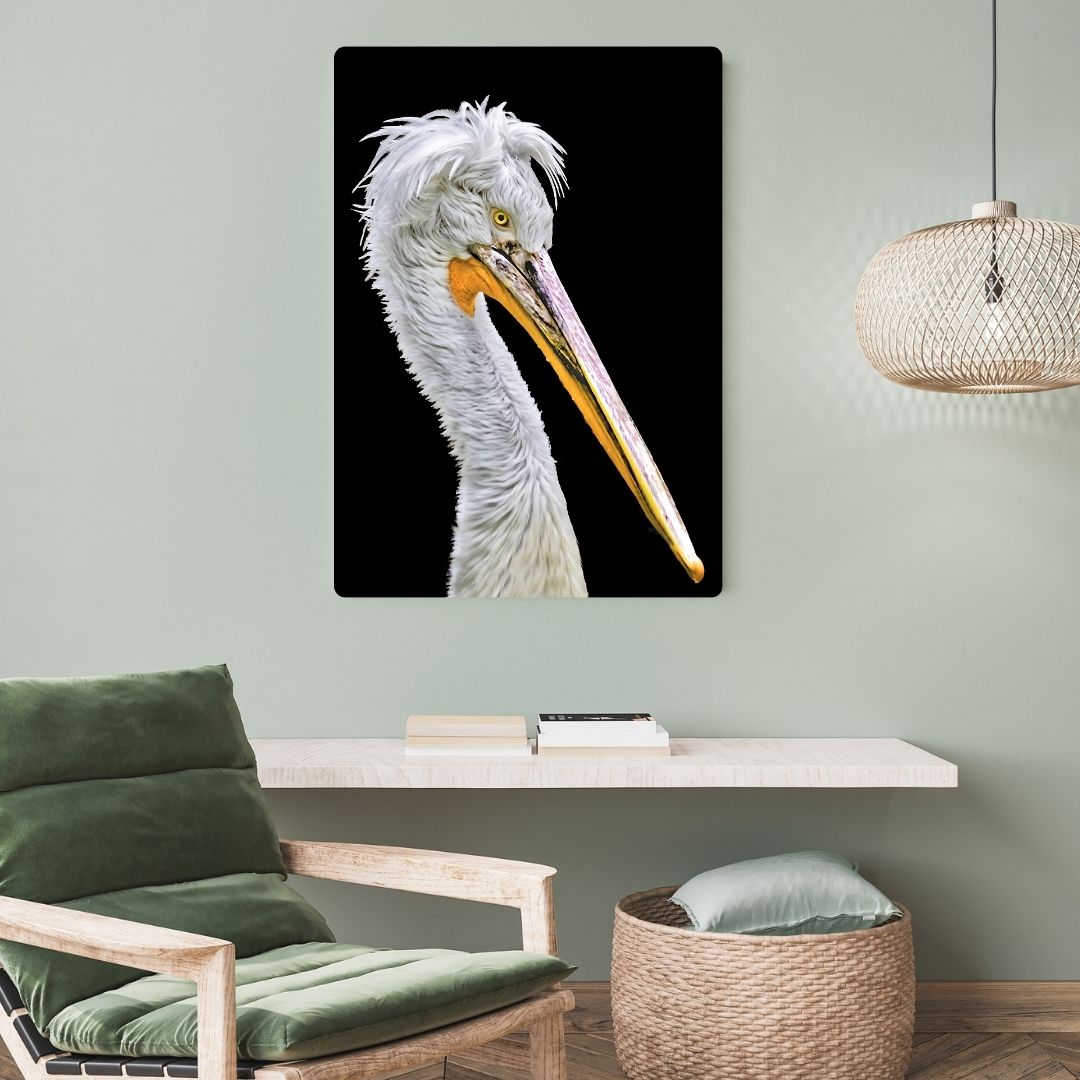 Dalmatian Pelican Metal Poster
