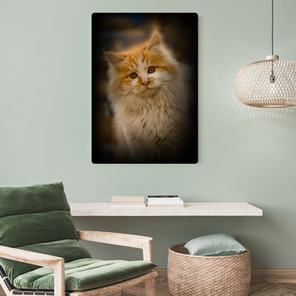 Siberian Cat Metal Poster