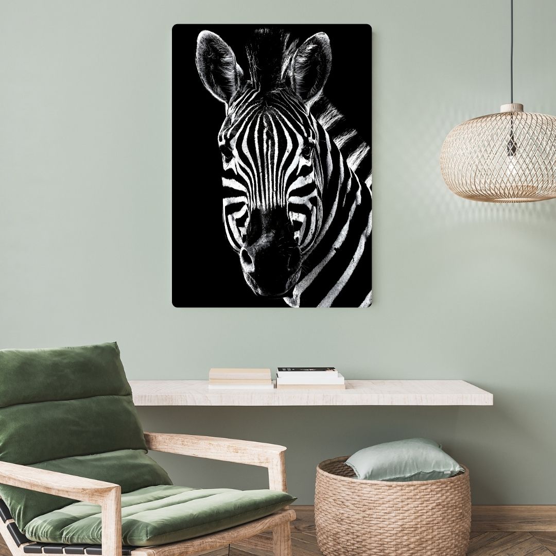 African Zebra Metal Poster