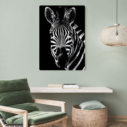 African Zebra Metal Poster