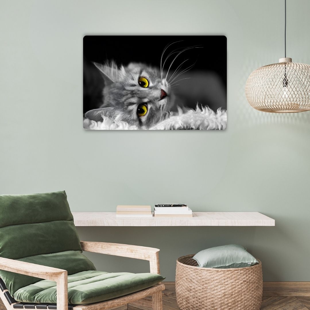 Golden Eyed Cat Metal Poster