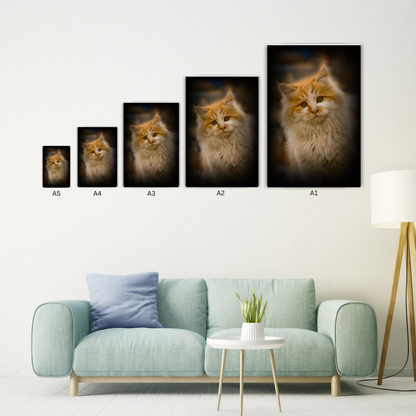 Siberian Cat Metal Poster