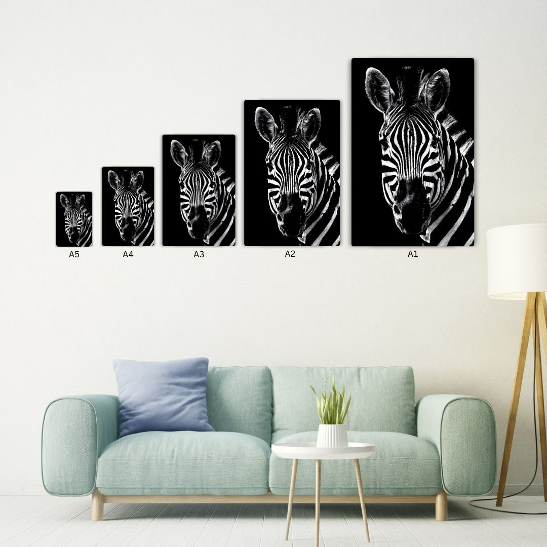 African Zebra Metal Poster