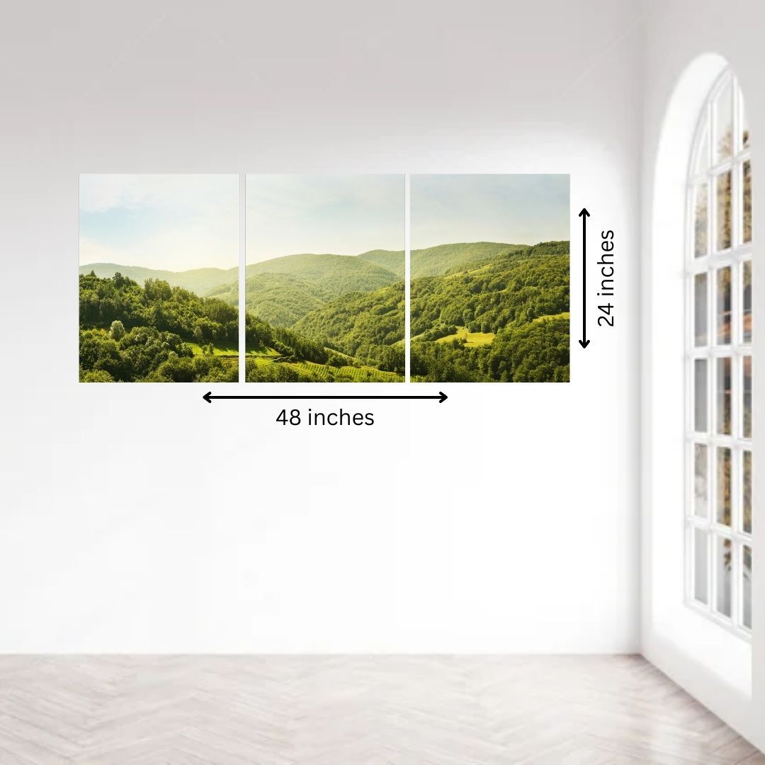Multi Panel & Panoramas