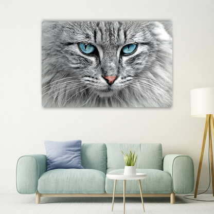 Tabby Cat Metal Poster