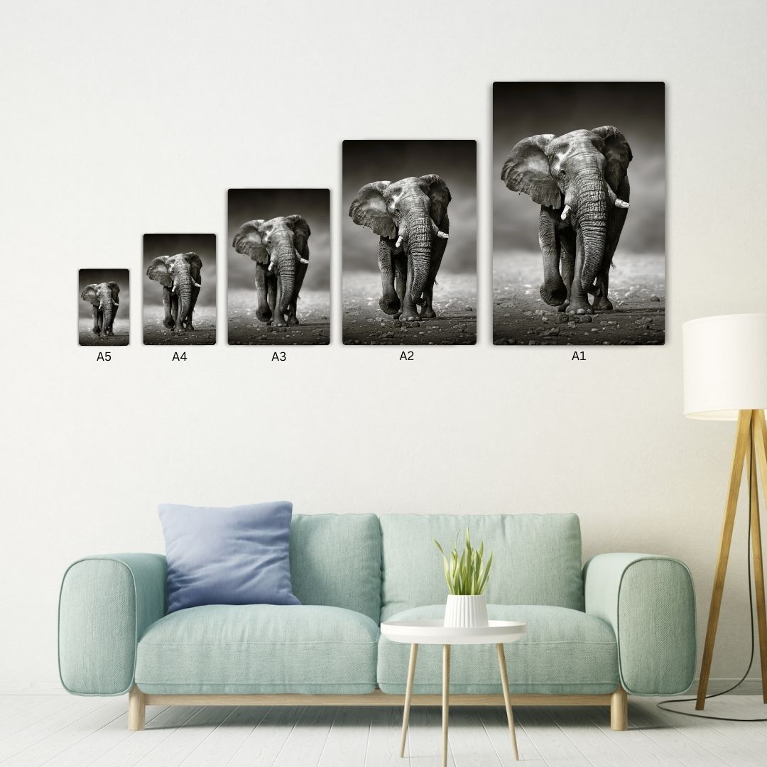 Elephant In Black & White Metal Poster