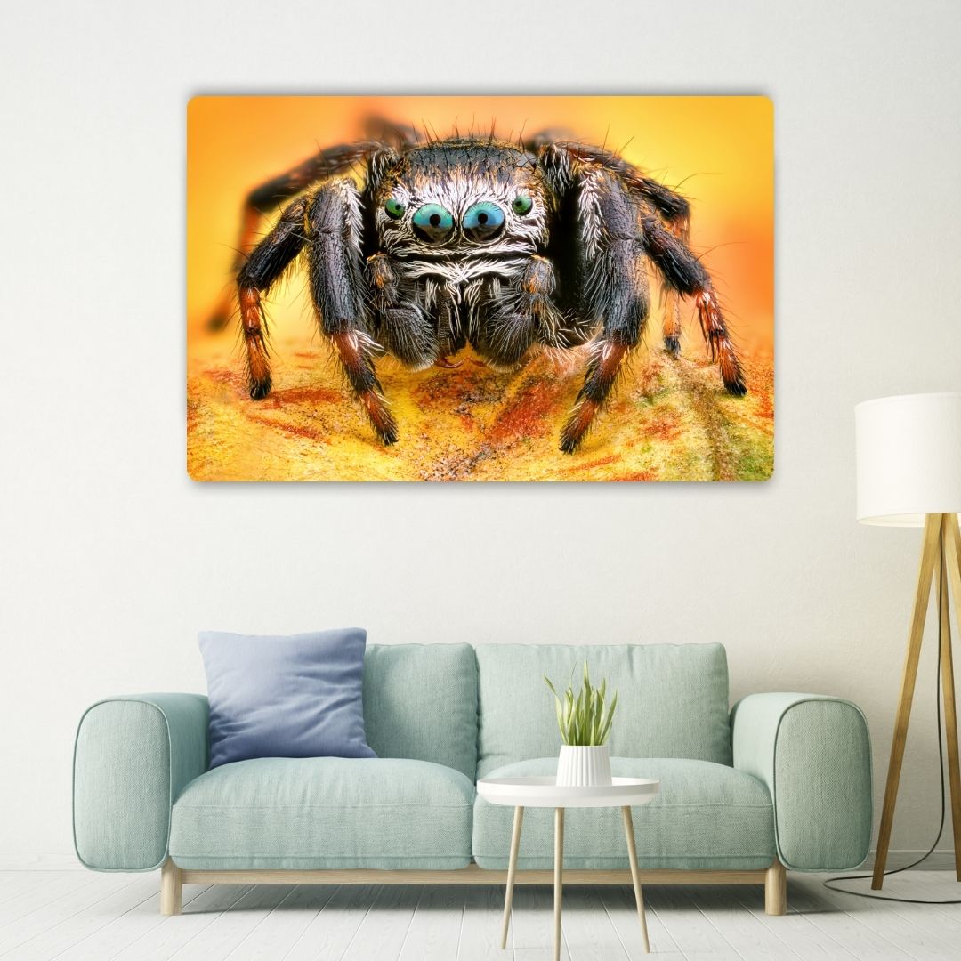 Spider Metal Poster