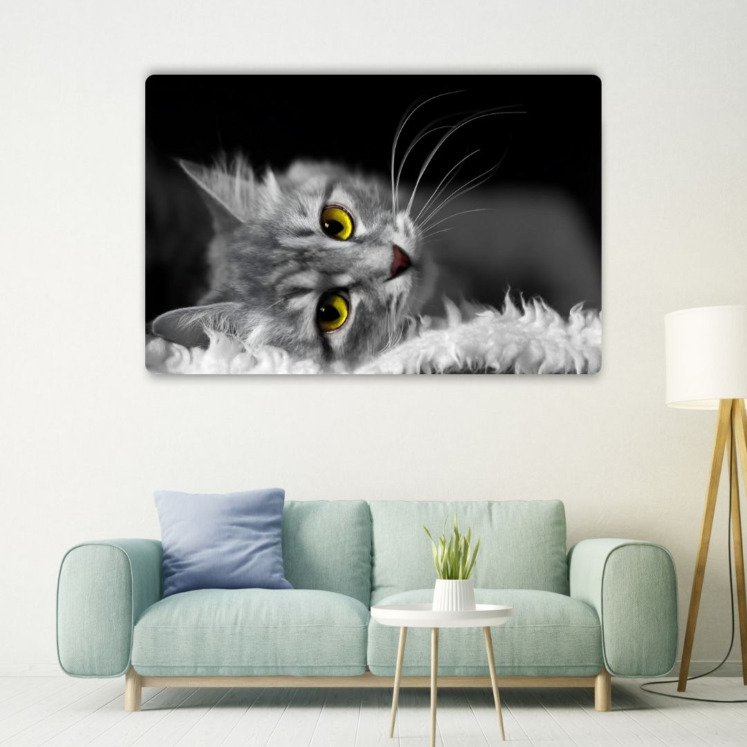 Golden Eyed Cat Metal Poster