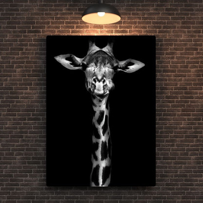 Giraffe In Black & White Metal Poster