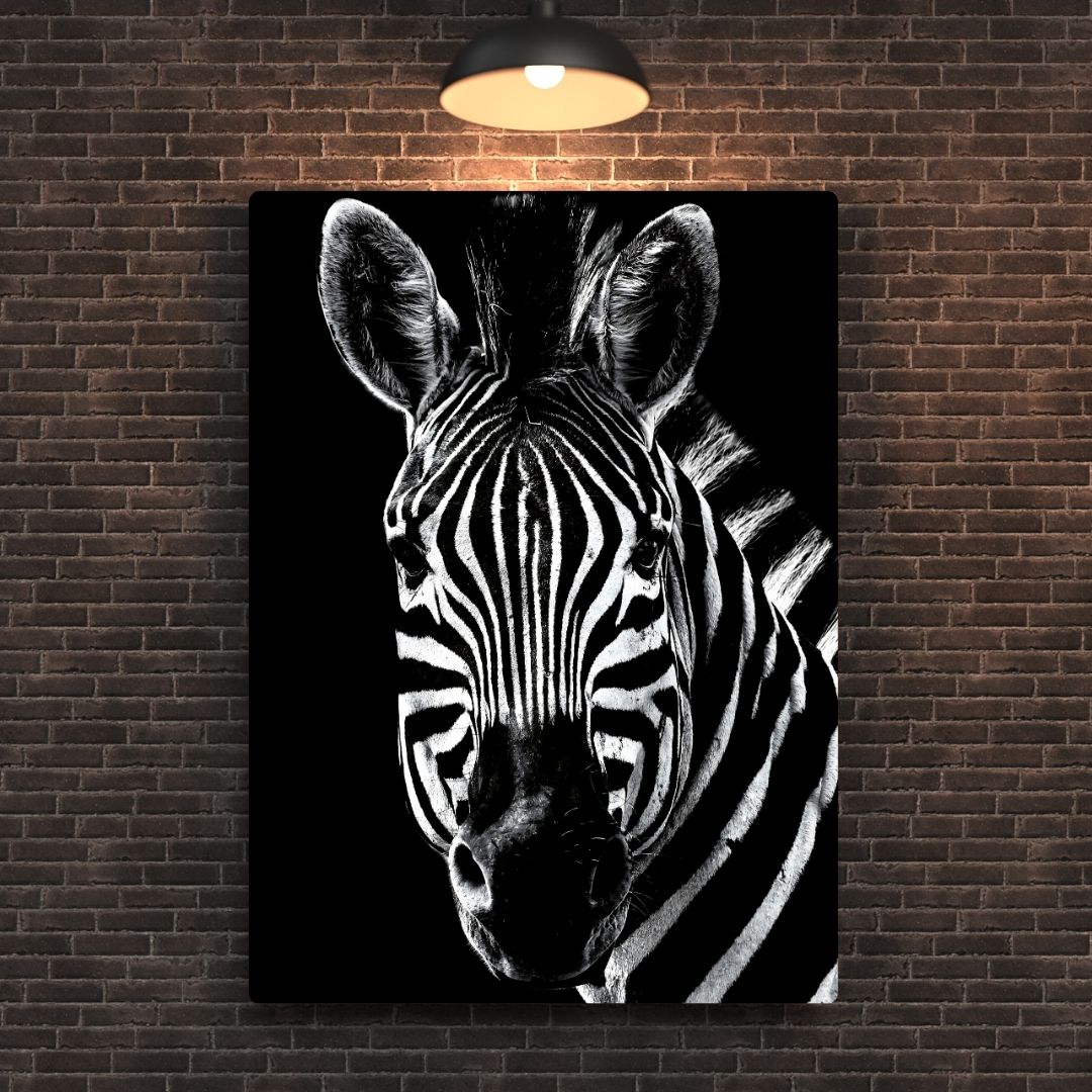 African Zebra Metal Poster