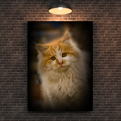 Siberian Cat Metal Poster