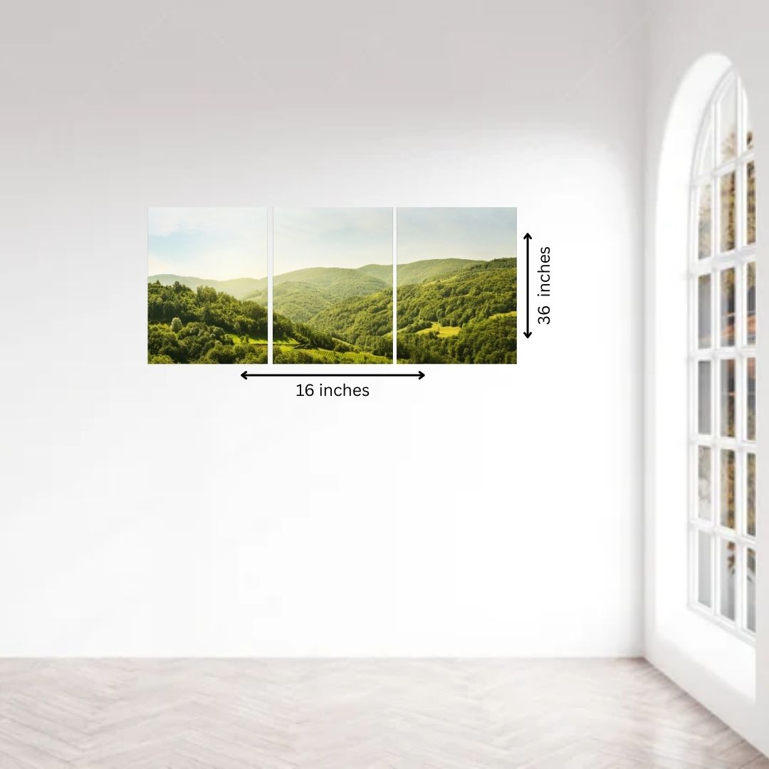 Multi Panel & Panoramas
