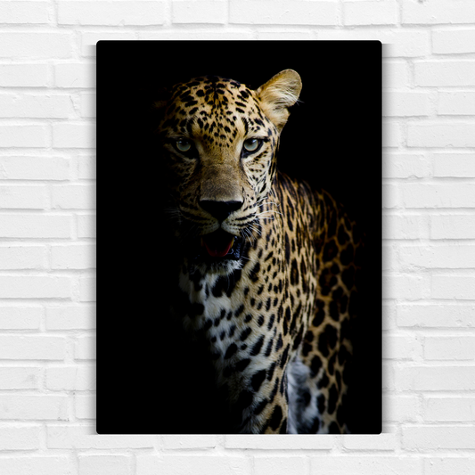 Cheetah Metal Poster