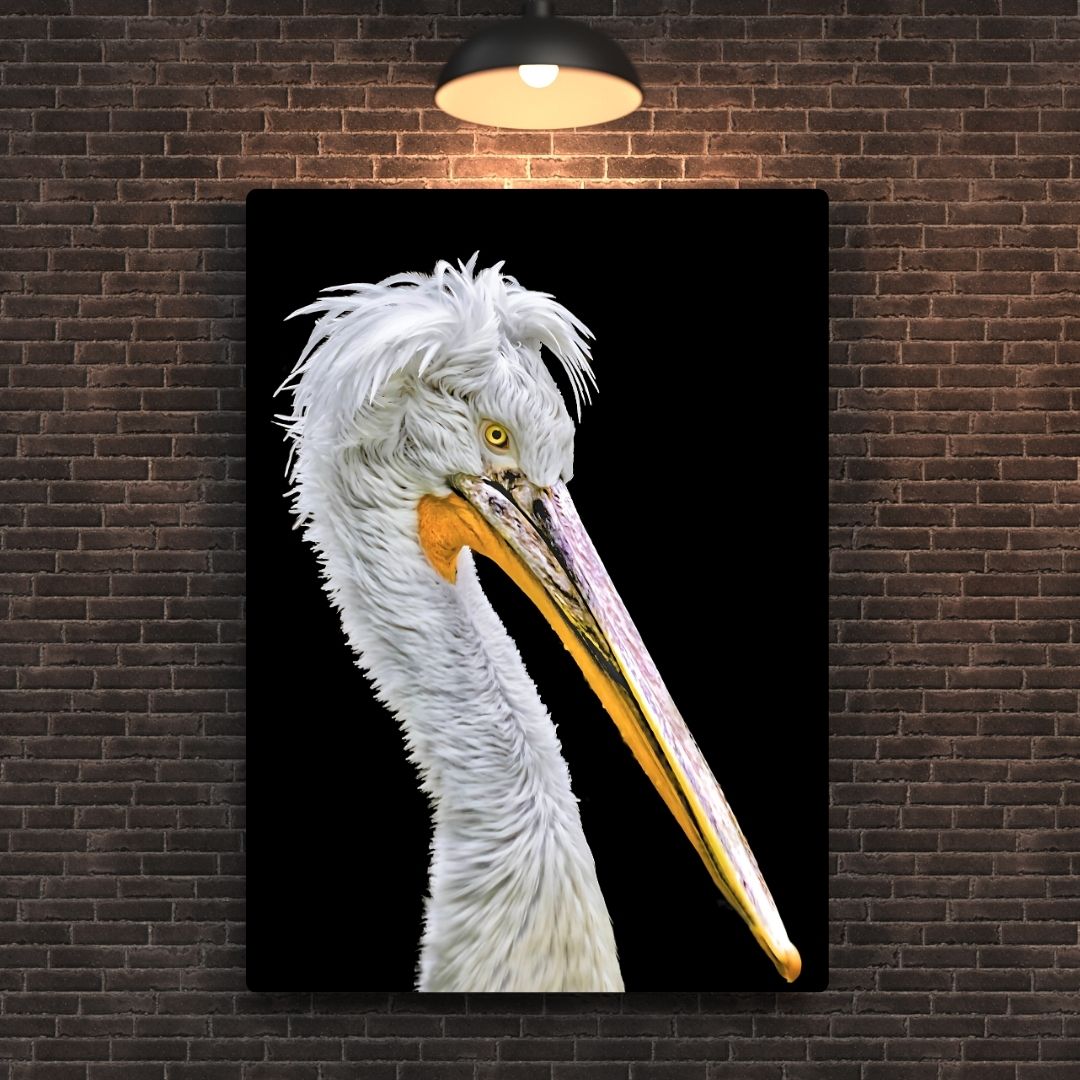 Dalmatian Pelican Metal Poster