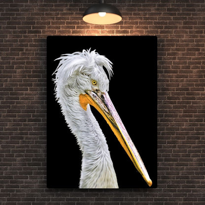 Dalmatian Pelican Metal Poster