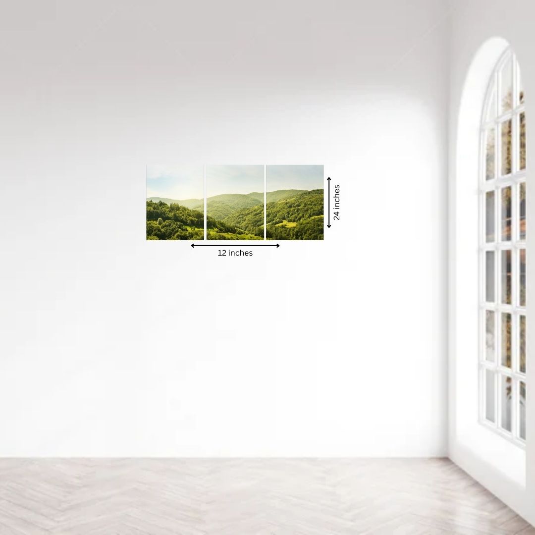 Multi Panel & Panoramas